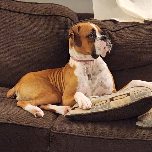 Meet your Posher, Sally - Picture 9 of 10